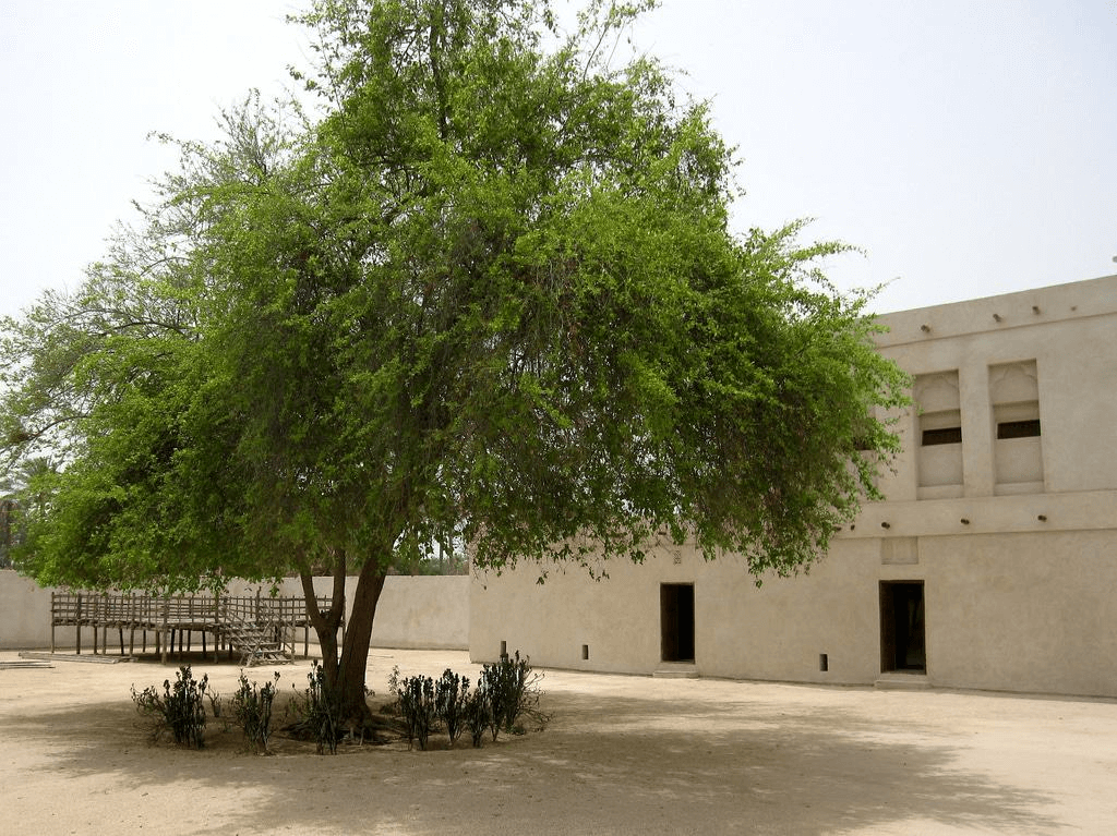 Al Jasra