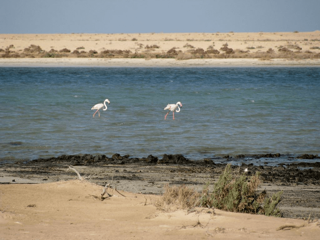 Hawar Islands